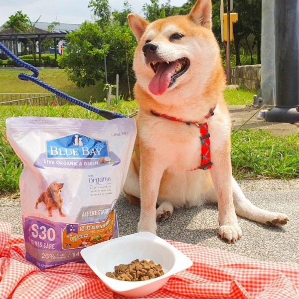 乾糧 倍力 BLUEBAY S30關節保健低敏配方天然犬糧 (羊肉+南瓜) 寵物用品店推薦