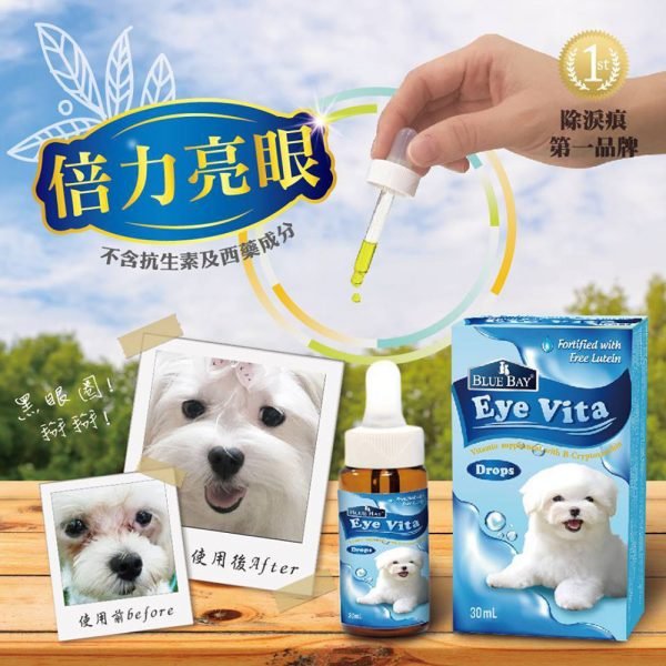 狗用產品 倍力 BLUEBAY 亮眼Eye Vita 寵物用品店推薦