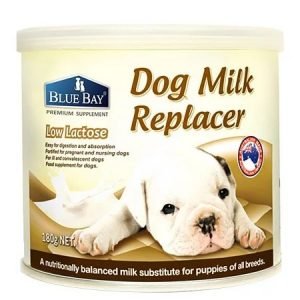 奶粉 倍力 BLUEBAY 專業幼犬奶粉 180g 寵物用品店推薦