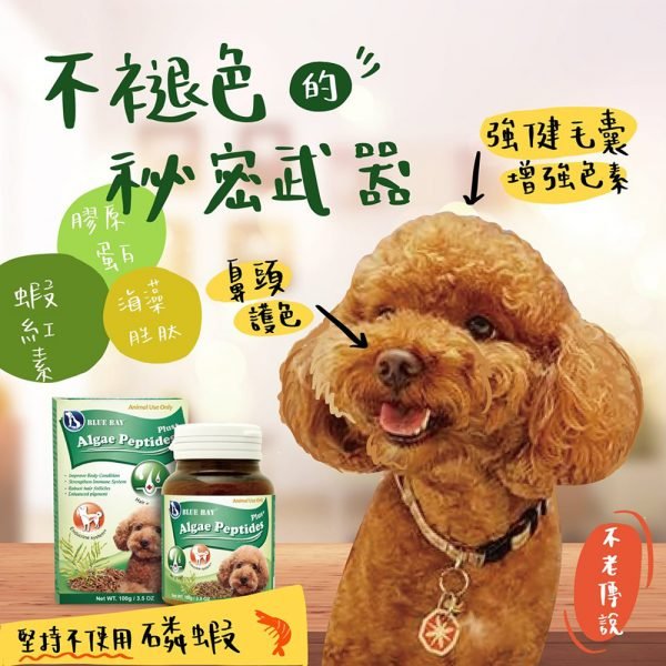 狗用產品 倍力 BLUEBAY 藻麗寶強效海藻胜肽粉 Algae Peptides 100g 寵物用品店推薦