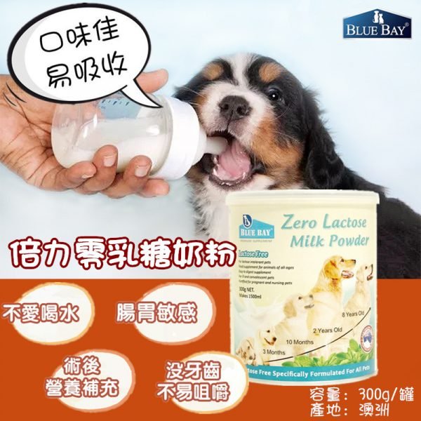 奶粉 倍力 BLUEBAY 零乳糖通用奶粉 300g 寵物用品店推薦