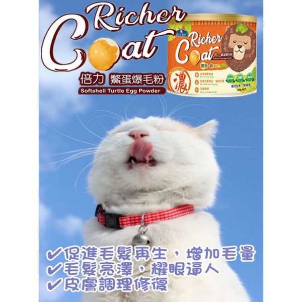 狗用產品 倍力 BLUEBAY 鱉蛋爆毛粉 寵物用品店推薦