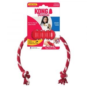 狗用產品 KONG 健齒漏食連繩狗玩具 寵物用品店推薦