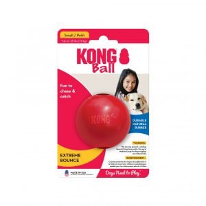 狗用產品 KONG 實心球狗玩具 寵物用品店推薦