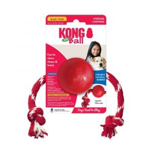 狗用產品 KONG 實心球連繩狗玩具 寵物用品店推薦