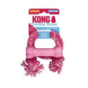 狗用產品 KONG 幼犬漏食狗骨連繩 寵物用品店推薦