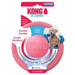 狗用產品 KONG 幼犬狗飛碟 寵物用品店推薦
