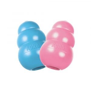 狗用產品 KONG 幼犬葫蘆玩具 寵物用品店推薦