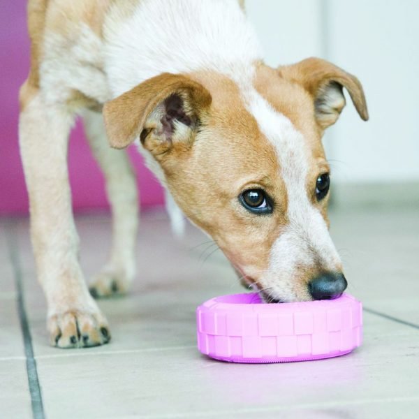 狗用產品 KONG 幼犬輪胎型健齒狗玩具 寵物用品店推薦