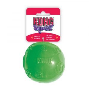 狗用產品 KONG 果凍咇咇圓球 寵物用品店推薦