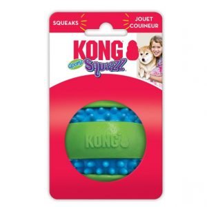 狗用產品 KONG 發聲潔齒球狗玩具 寵物用品店推薦