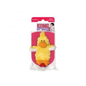 玩具 KONG 鴨仔貓草套裝 寵物用品店推薦