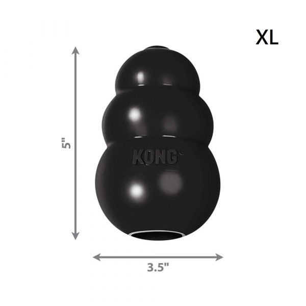狗用產品 KONG 黑葫蘆漏食狗玩具 寵物用品店推薦