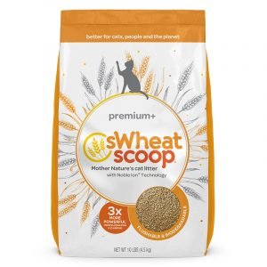 貓用產品 sWheat Scoop 小麥貓砂 Premium 三倍強效天然小麥貓砂 寵物用品店推薦