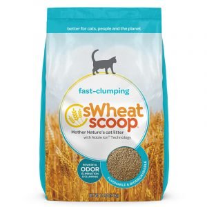 貓用產品 sWheat Scoop 小麥貓砂 Fast-clumping 淨味凝結天然小麥貓砂 寵物用品店推薦