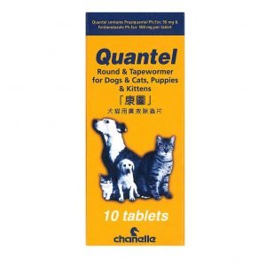 傷口護理 Chanelle Quantel 康圖廣效驅蟲片 寵物用品店推薦