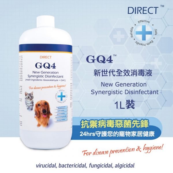 Direct GQ4全效消毒液