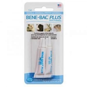 狗用產品 PetAg 幫你壯整腸劑 寵物用品店推薦