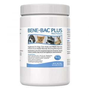 狗用產品 PetAg 幫你壯整腸粉 453g 寵物用品店推薦