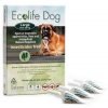 Solano Ecolife Spot On 純天然犬用驅蚤滴頸劑 小型犬 (一盒4枝 1ml/支)
