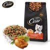 CESAR 西莎 精緻乾糧 經典火雞與鮮脆蔬菜口味 1kg